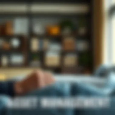 Illustration of asset management strategies