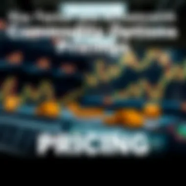 Key Factors Affecting Commodity Options Pricing Factors influencing commodity options prices