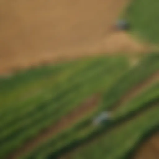 Aerial view of agricultural fields showcasing crop diversity