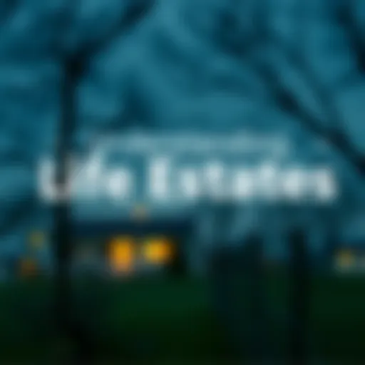 Conceptual representation of life estate