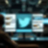 A visual representation of Twitter's advertising model showcasing various ad formats.