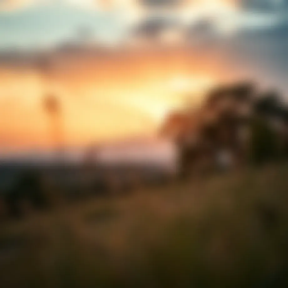 A serene landscape reflecting financial stability