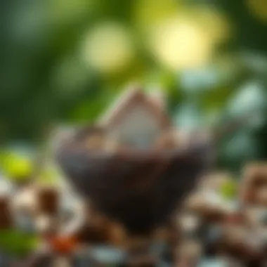 Nest egg representing savings for a home